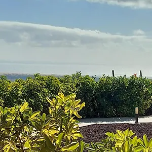 Casa di campagna The Black Horse Canarias - Adults Only